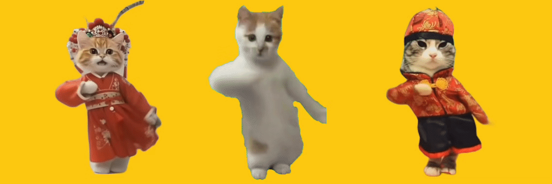 cat